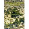 Ediciones Rodeno El Rincón De Ademuz Y Su Entorno