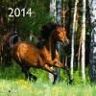 teNeues Calendario De Pared 2014: Horses