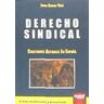 Derecho Sindical. Cuestiones Actuales En España (2 Ed. - Revisada Y Actualizada)