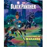 Black Panther. Protectores de Wakanda