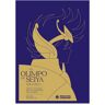 El olimpo de Seiya 1