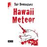 Hawaii meteor