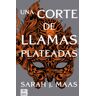 Una corte de llamas plateadas