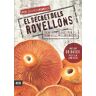 El secret dels rovellons