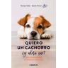 Quiero un cachorro, ¿y ahora qué?