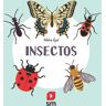 Insectos