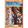 Fairy tail 17