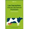 Las bacantes: vacas lecheras Holstein