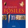 Atlas ilutrado de los fósiles