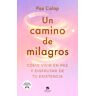 Un camino de milagros