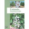 El almendro. Guía práctica de cultivo