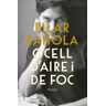 Ocell d'aire i de foc