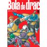 Bola de Drac Definitiva nº 19/34