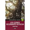 Los cedros resonantes de Rusia