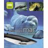 Animales del mar. Peces, ballenas y delfines