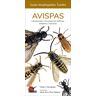 Avispas