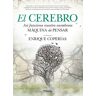 El cerebro