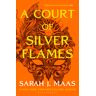 A court of silver flames