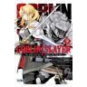 Goblin slayer  9