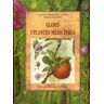 Gloses i plantes medicinals