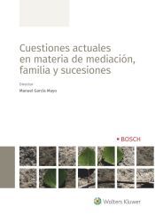Bosch Cuestiones Actuales En Materia De Mediación, Familia Y Sucesiones