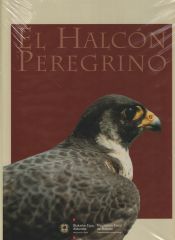 Bizkaiko Foru Aldundia - Diputación Foral de Bizkaia El Halcón Peregrino