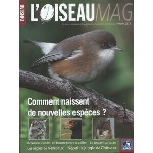 L'oiseau mag n°113 : Comment naissent de nouvelles espèces ?