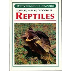 Reptiles. Tortues, varan, crocodiles... Publicité