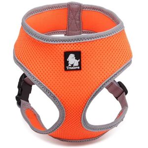 Orange-M -Truelove ? Harnais Pour Animal De Compagnie, Accessoire Rembourré En Maille Pour Chien Ou Chat, Gilet De Marche Réglable P - Publicité