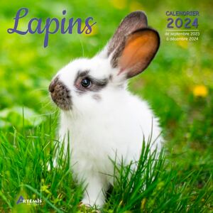 Artémis Calendrier Lapins 2024: Calendrier De Septembre 2023 À Décembre 2024 - Publicité