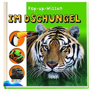 Pop-Up-Wissen Dschungel