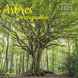 Artémis Calendrier Arbres Remarquables 2023 - Publicité