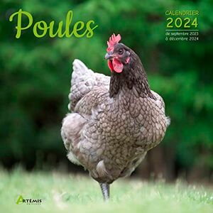 Artémis Calendrier Poules 2024: Calendrier De Septembre 2023 À Décembre 2024 - Publicité