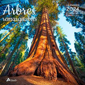 Artémis Calendrier Arbres Remarquables 2024: Calendrier De Septembre 2023 À Décembre 2024 - Publicité