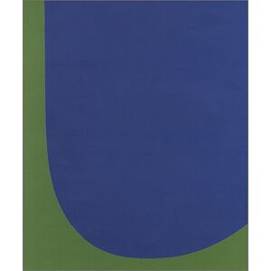 Toby Kamps Ellsworth Kelly: Red Green Blue