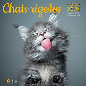 Artémis Calendrier Chats Rigolos 2024: Calendrier De Septembre 2023 À Décembre 2024 - Publicité