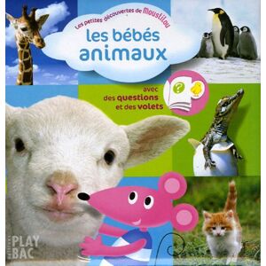 Les Petites Decouvertes De Moustilou: Les Bebes Animaux