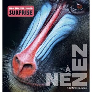 Nez Nez