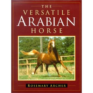 Versatile Arabian