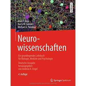 Bear, Mark F. Neurowissenschaften: Ein Grundlegendes Lehrbuch Für Biologie, Medizin Und Psychologie