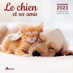 Artémis Calendrier Le Chien Et Ses Amis 2023 - Publicité