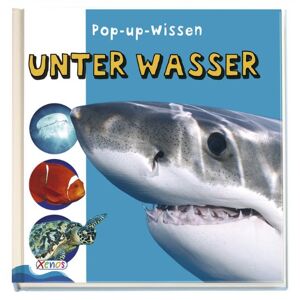 Pop-Up-Wissen Unter Wasser