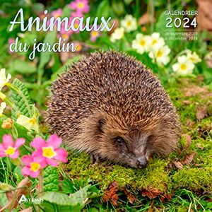 Artémis Calendrier Animaux Du Jardin 2024: Calendrier De Septembre 2023 À Décembre 2024 - Publicité