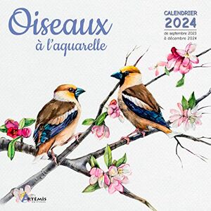 Artémis Calendrier Oiseaux À L'Aquarelle 2024: Calendrier De Septembre 2023 À Décembre 2024 - Publicité