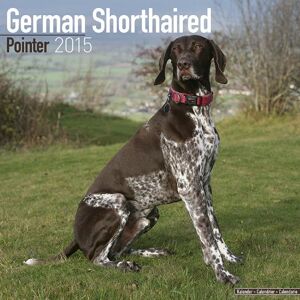 German Shorthaired Pointer 2015 (Square)