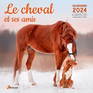 Artémis Calendrier Le Cheval Et Ses Amis 2024: Calendrier De Septembre 2023 À Décembre 2024 - Publicité