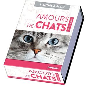 Calendrier Amours De Chats En 365 Jours - L'Année À Bloc