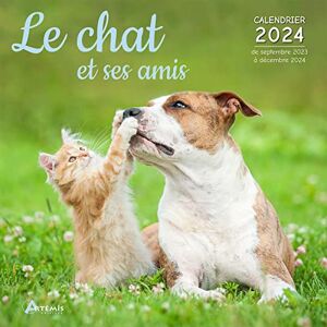 Artémis Calendrier Le Chat Et Ses Amis 2024: Calendrier De Septembre 2023 À Décembre 2024 - Publicité