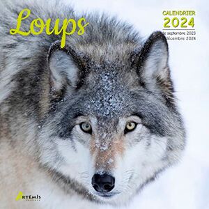 Artémis Calendrier Loups 2024: Calendrier De Septembre 2023 À Décembre 2024 - Publicité