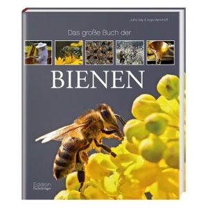 Jutta Gay Das Große Buch Der Bienen - Publicité